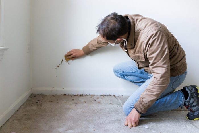 Asbestos Testing